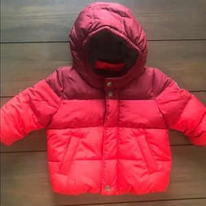 Baby GAP Hooded Puffer Jacket